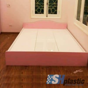 Mẫu giường ngủ nhựa đôi Người lớn cao cấp / SHplastic GN10
